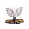 page_3993.jpg Elephant