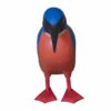Kingfisher (Pack of 4)