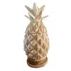 page_4361.jpg Wooden Pineapple Pot - Natural (Pack of 2)