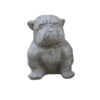 Small Bulldog