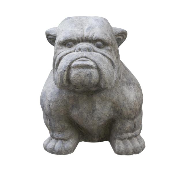 XL Bulldog