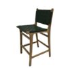 Gladstone Counter Stool w/ back - Green