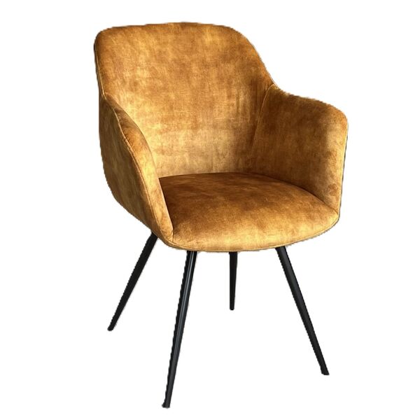Enzo Dining / Occasional chair- gold