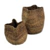 Organic Basket - Set of 2