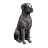 page_5292.png Labrador