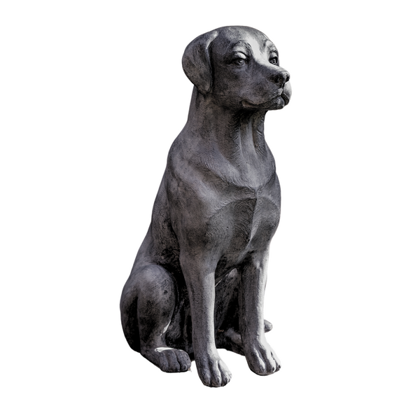 page_5292.png Labrador