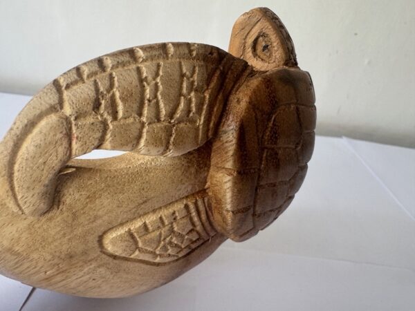 Turtle Bowl Large