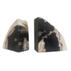 page_6394.png Petrified Wood Pair of Bookends