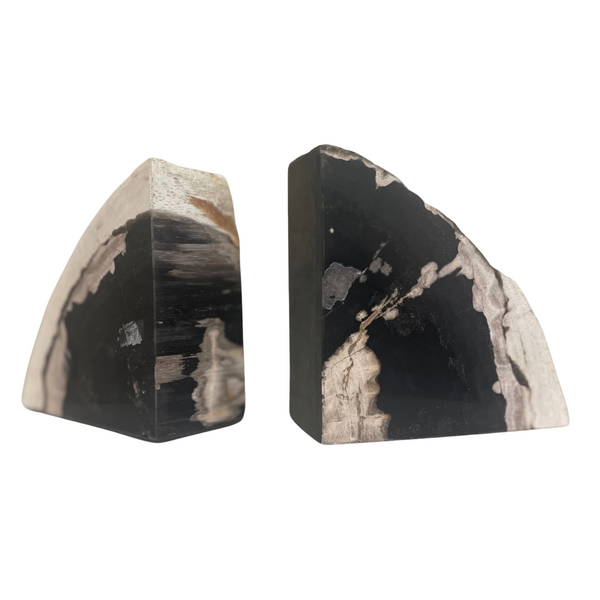 page_6394.png Petrified Wood Pair of Bookends