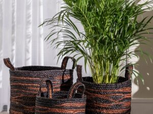 page_6433.jpg Tiger Basket Set of 3