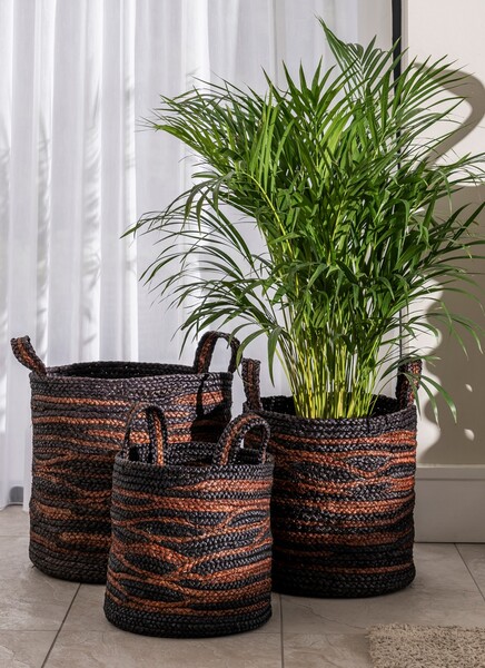Tiger Basket Set of 3