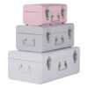 Parley Set of Three Assorted Pink and Grey Storage Trunks