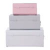 Parley Set of Three Assorted Pink and Grey Storage Trunks