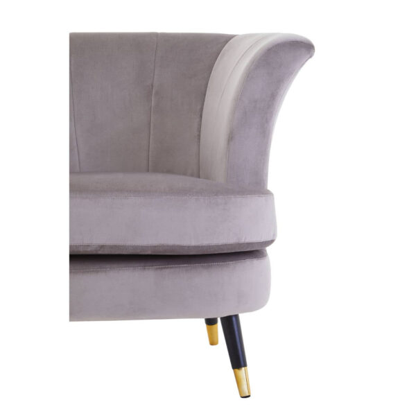 Loretta Mink Velvet Curved Accent Chair