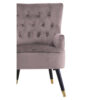 Loretta Mink Velvet Chair With Black Wood Legs
