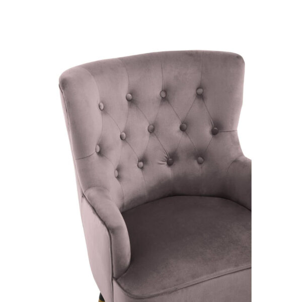 Loretta Mink Velvet Chair With Black Wood Legs