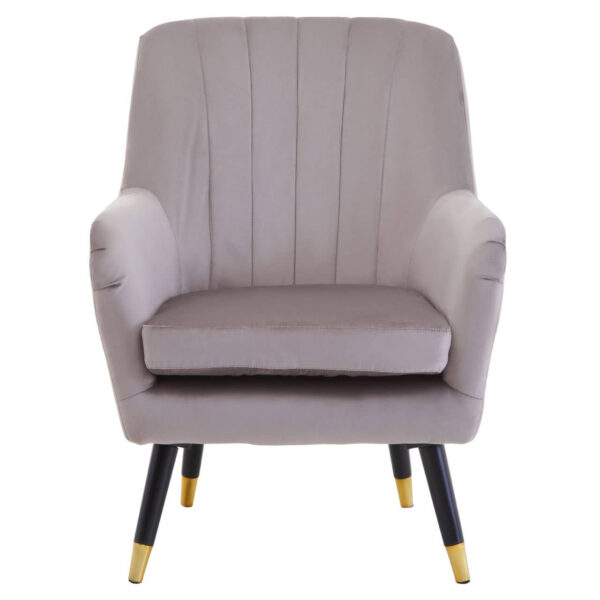 2406358__14657.1767857689.jpg Loretta Mink Velvet Accent Chair With Black Legs