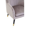 2406358_mac_02__25277.1767857689.jpg Loretta Mink Velvet Accent Chair With Black Legs