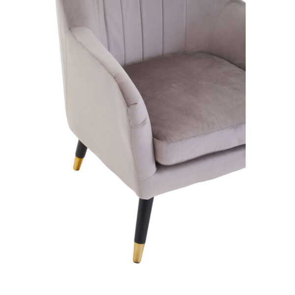 2406358_mac_02__25277.1767857689.jpg Loretta Mink Velvet Accent Chair With Black Legs