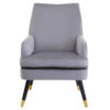 2406360__83200.1754498962.jpg Loretta Grey Velvet Accent Chair