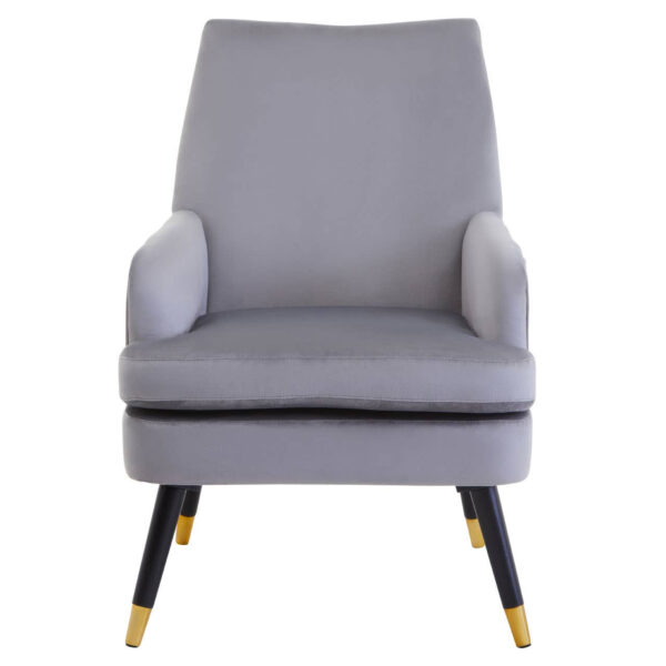 2406360__83200.1754498962.jpg Loretta Grey Velvet Accent Chair