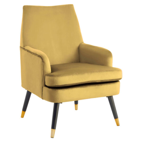 2406362_01__83741.1754498971.jpg Loretta Pistachio Velvet Armchair With Black Wood Legs