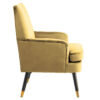 2406362_02__43790.1754498972.jpg Loretta Pistachio Velvet Armchair With Black Wood Legs