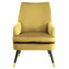 2406362__57544.1754498976.jpg Loretta Pistachio Velvet Armchair With Black Wood Legs
