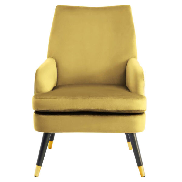 2406362__57544.1754498976.jpg Loretta Pistachio Velvet Armchair With Black Wood Legs