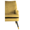 2406362_mac_01__28118.1754498973.jpg Loretta Pistachio Velvet Armchair With Black Wood Legs