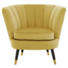 2406385__14809.1768307105.jpg Loretta Pistachio Velvet Shell Accent Chair