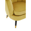 2406385_mac_02__46218.1768307105.jpg Loretta Pistachio Velvet Shell Accent Chair