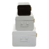 Parley Set of Three White Grey and Black Storage Trunks