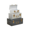 Parley Set of Three Assorted Grey Storage Trunks