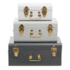 Parley Set of Three Assorted Grey Storage Trunks