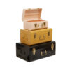 Parley Set of Three Assorted Storage Trunks