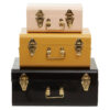 Parley Set of Three Assorted Storage Trunks