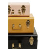 Parley Set of Three Assorted Storage Trunks