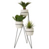 Hollywood 3 French Fry Cones With Red Metal Stand Set