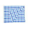 Thread and Loom Blue Check Tablecloth