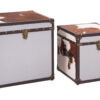Kensington Townhouse Set of 2 Hair on Leather Storage Trunks