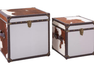 5501165_01_1__06032.1754487576.jpg Kensington Townhouse Set of 2 Hair on Leather Storage Trunks