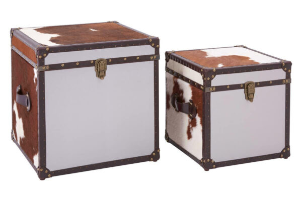 Kensington Townhouse Set of 2 Hair on Leather Storage Trunks