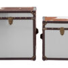 Kensington Townhouse Set of 2 Hair on Leather Storage Trunks