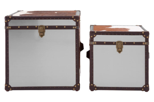 Kensington Townhouse Set of 2 Hair on Leather Storage Trunks