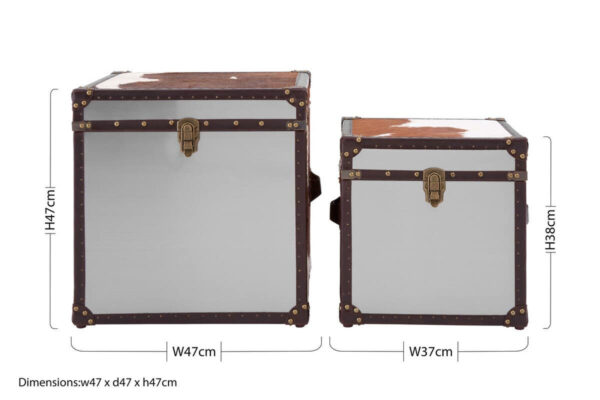 Kensington Townhouse Set of 2 Hair on Leather Storage Trunks