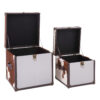 Kensington Townhouse Set of 2 Hair on Leather Storage Trunks
