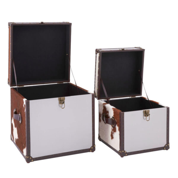 Kensington Townhouse Set of 2 Hair on Leather Storage Trunks