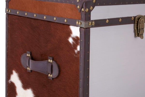 Kensington Townhouse Set of 2 Hair on Leather Storage Trunks