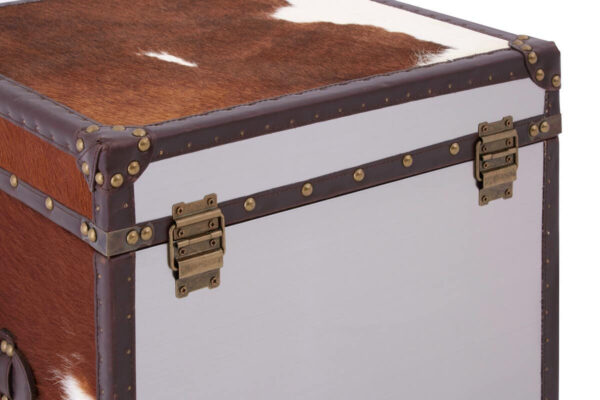 Kensington Townhouse Set of 2 Hair on Leather Storage Trunks